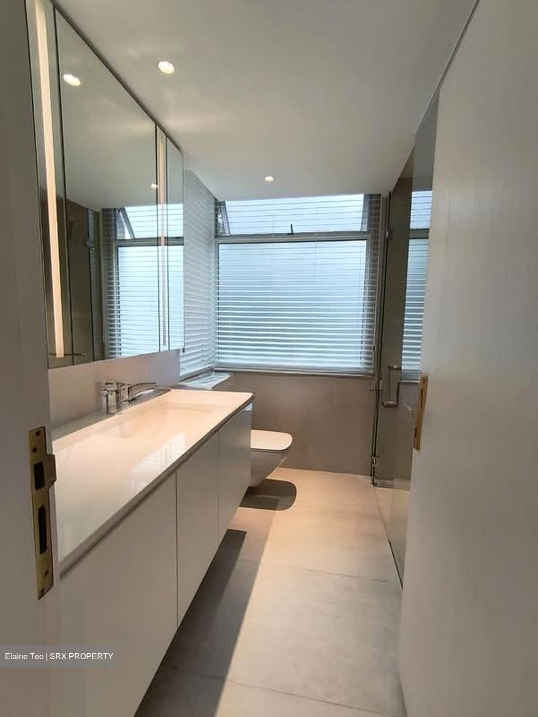 Lorong K Telok Kurau (D15), Semi-Detached #562093621